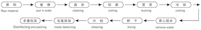 脱水蔬菜带式干燥工艺流程